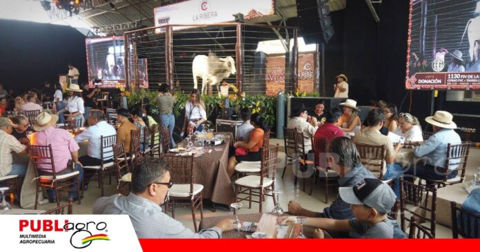 La Ribera llevó lo mejor de su genética bovina a San Rafael/ Foto: Publiagro