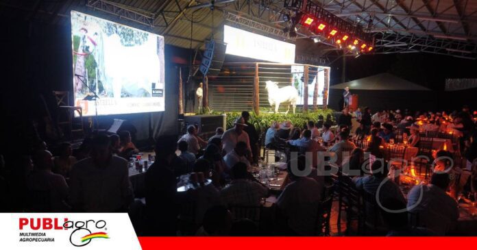 San Rafael reunió genética bovina adaptada a la Chiquitania/Foto: Publiagro