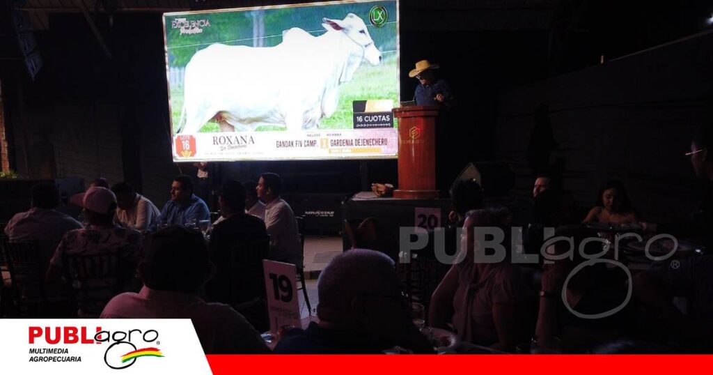 Tres cabañas unieron su oferta genética en San Rafael/ Foto: Publiagro
