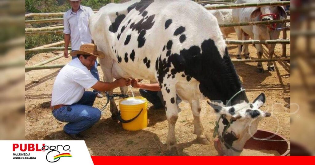FOTO NOTAS WEB - 2026-10-26T203435.340 Los productores esperan nuevos ajustes graduales/ Foto; Internet