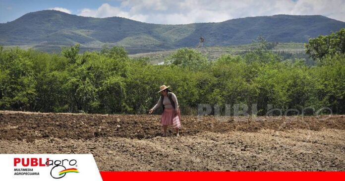 Padilla comunidad de Chuquisaca, la siembra todavía es manuel/ Foto: Radio Centro Padilla