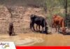 Cochabamba: Gobernación anuncia Bs 1,3 millones para municipios afectados por la sequía La aprobación de dicho decreto se realizó tras un análisis/ Foto: Internet