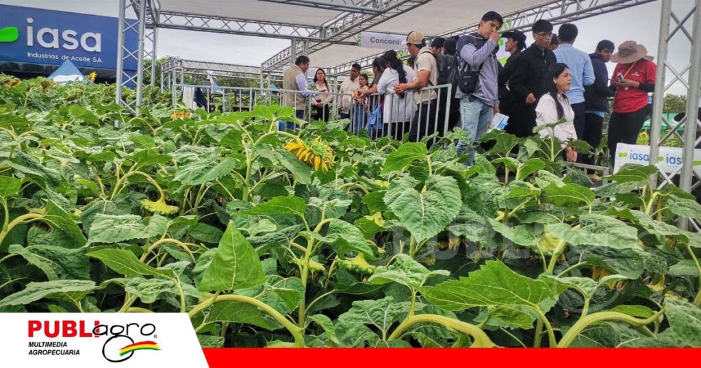 La firma presentó materiales de soya, sorgo y girasol/ Foto: Publiagro