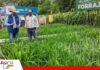 Pasturas y tecnología marcaron la participación de Totalpec en Agro Vidas Totalpec llevó soluciones forrajeras para mejorar el manejo ganadero/ Foto: Publiagro