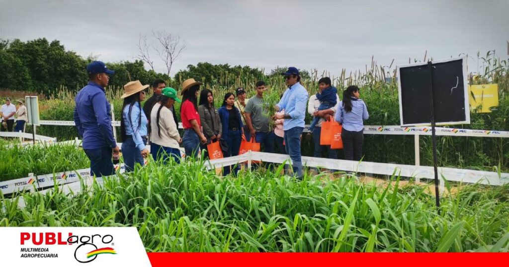 FOTO NOTAS WEB (32) Con parcelas demostrativas, la empresa explicó cómo elegir variedades/ Foto: Publiagro