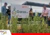 Garza y Aurora amplían las opciones de soya para la campaña de verano Anapo presentó la variedad de soya Garza y alistó semillas para la campaña de verano/ Foto: Publiagro