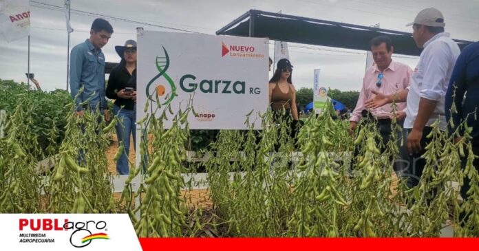 Anapo presentó la variedad de soya Garza y alistó semillas para la campaña de verano/ Foto: Publiagro