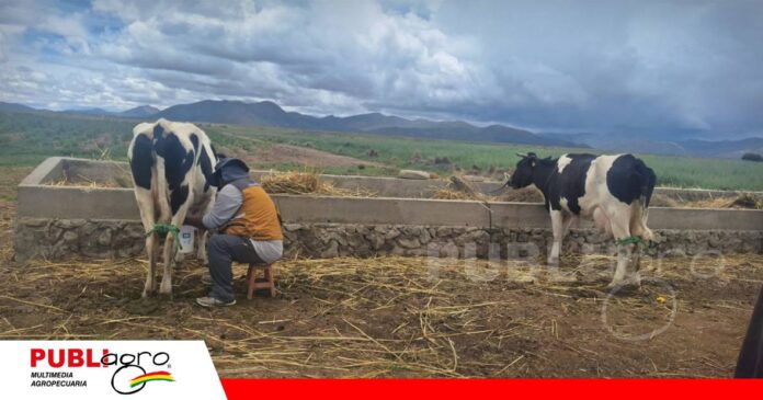 FOTO NOTAS WEB (52) Busca elevar la productividad, mejorar el acopio y transporte/ Foto: Pro Bolivia