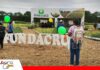 Fundacruz apuesta por soya más tolerante al estrés climático Nuevas tecnologías genéticas buscan mejorar el rendimiento de la soya/ Foto: Publiagro