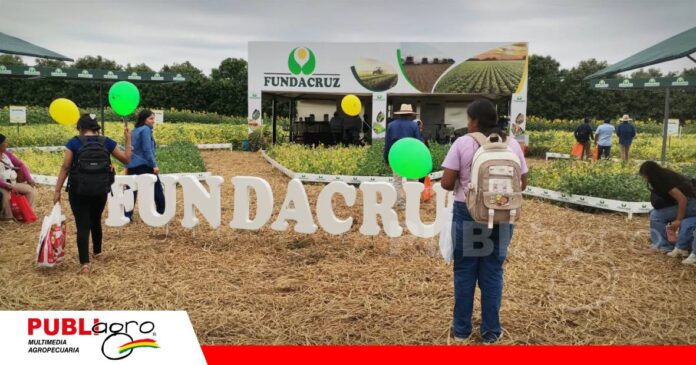 Nuevas tecnologías genéticas buscan mejorar el rendimiento de la soya/ Foto: Publiagro