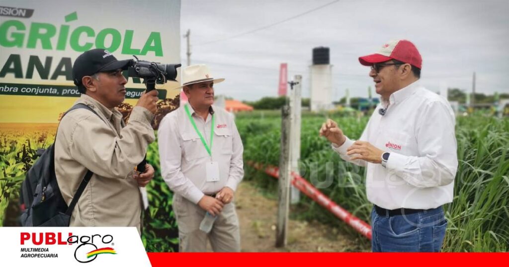 Unión Agronegocios presenta sistemas que combinan especies forrajeras con cultivos agrícolas/ Foto: Publiagro