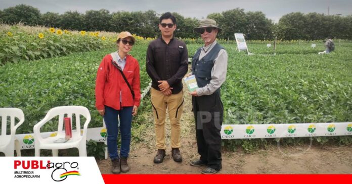 Proasis prueba alternativas para producir y conservar los suelos/ Foto: Publiagro