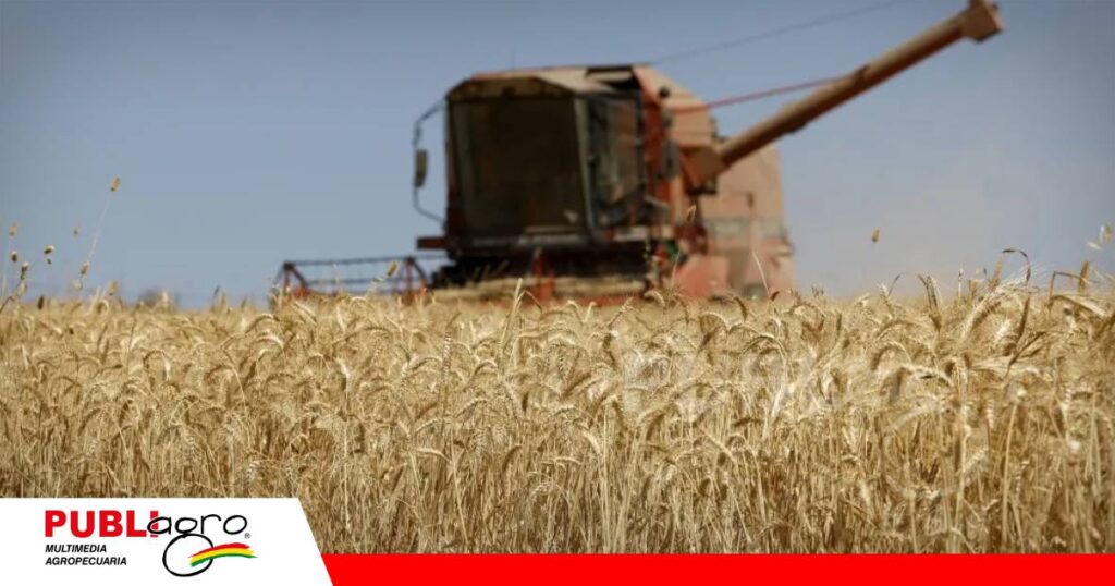 ANAPO pide incentivos para reducir la dependencia del trigo importado/ Foto: Internet