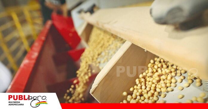 La certificación verifica la pureza y germinación de las semillas antes de su llegada a un campo/ Foto: Internet