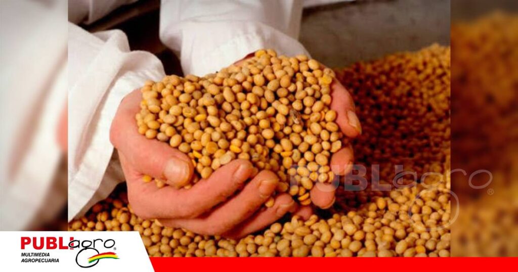 Las importaciones bajaron de 6.116,77 a 2.536,92 toneladas/ Foto: Internet