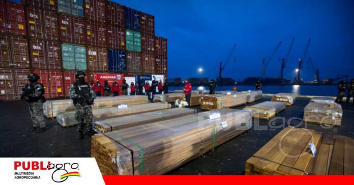 Los 23 exportadores de madera esperan pruebas que esclarezcan el caso en Chile/ Foto: Internet