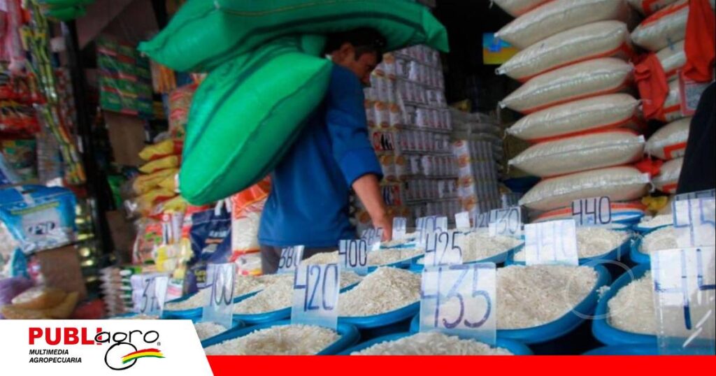 Costos de transporte y ganancias, bajo revisión por el precio del arroz/ Foto: Internet
