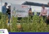 Garza un Aurora erweitern de Möglichkeiten för de Soja-Aanbou för de Sommerkampanje Anapo ha de Sojasort Garza vorgestellt un Saatgoot för de Sommerkampanje klaar makt/ Foto: Publiagro