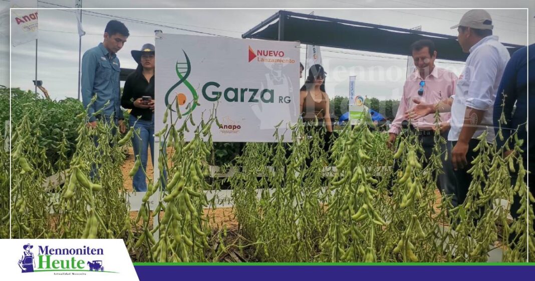 FOTO NOTAS WEB MENNONITEN Anapo ha de Sojasort Garza vorgestellt un Saatgoot för de Sommerkampanje klaar makt/ Foto: Publiagro