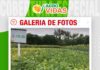 📷Galería de fotos | Frejol como un cultivo de rotación