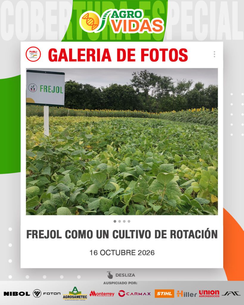 Frejol-como-un-cultivo-de-rotación0