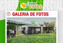 📷Galería de fotos | Fundacruz con nuevas variedades en soya