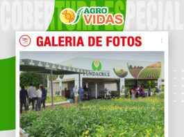 📷Galería de fotos | Fundacruz con nuevas variedades en soya