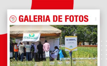 📷Galería de fotos | Fundacruz mostró sus variedades de soyas