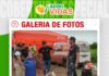 📷Galería de fotos | Hiller STIHL puso en practica sus equipos