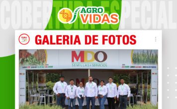 📷Galería de fotos | MDO con sus nuevas variedades de soya