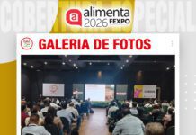 📷Galería de fotos | Más lechones no siempre significan mayor productividad