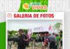 📷Galería de fotos | Pitahaya suma afiliados en Agro Vidas