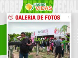 📷Galería de fotos | Pitahaya suma afiliados en Agro Vidas
