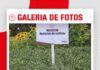 📷Galería de fotos | Programa de Nutrición de Anapo