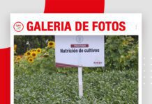 📷Galería de fotos | Programa de Nutrición de Anapo