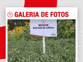 📷Galería de fotos | Programa de Nutrición de Anapo