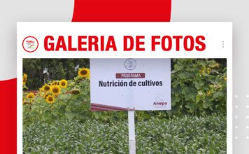 📷Galería de fotos | Programa de Nutrición de Anapo
