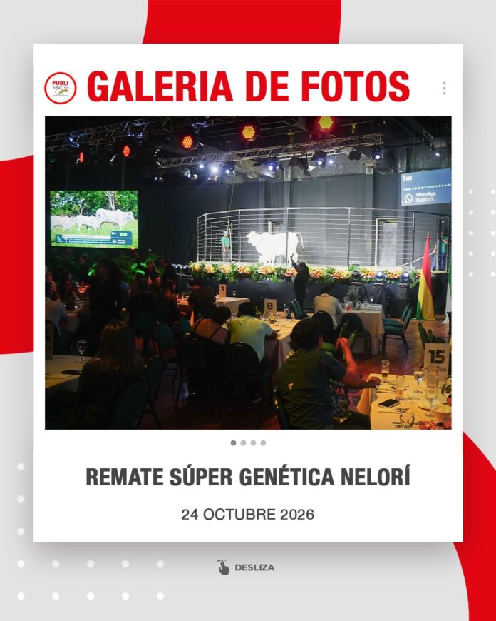 REMATE-NELORI0_