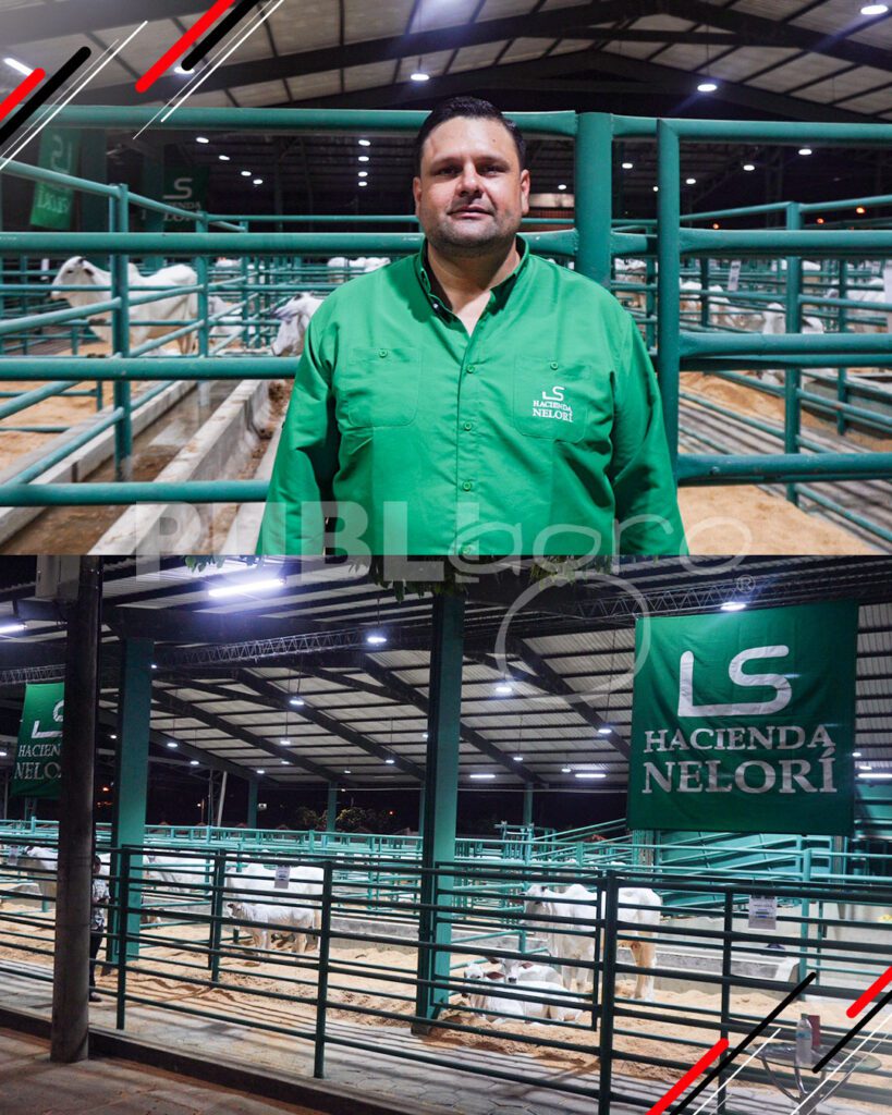 REMATE-NELORI4