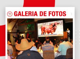 📷Galería de fotos | Sindi Origen