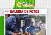 📷Galería de fotos | Talento soldador: Monterrey en Agro Vidas