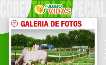 📷Galería de fotos | Tripleta de pasto, Mix Beni en Totalpec