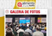 📷Galería de fotos | ¿Cómo alimentar al cerdo del futuro?