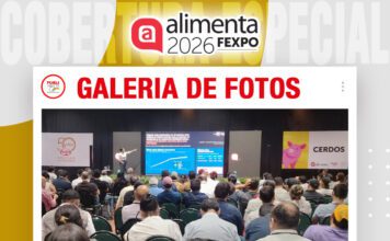 📷Galería de fotos | ¿Cómo alimentar al cerdo del futuro?